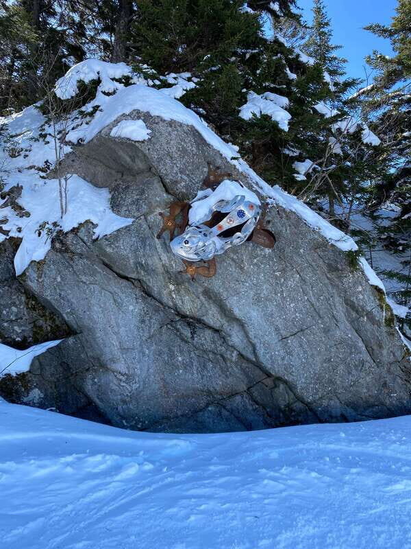 Montreal: Canadian Forest Guided Tour by Snowmobile - The Sum Up: Is It Worth It?