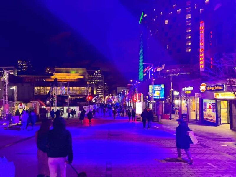 Montreal: Christmas Lights Private Walking Tour - What Makes This Tour Stand Out