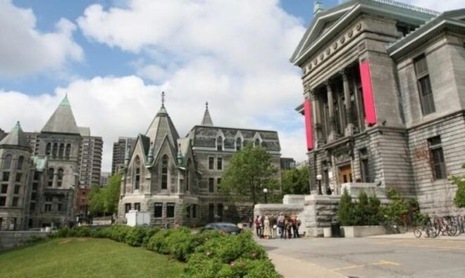 Montreal : Downtown & Underground Walking Tour With a Guide - Customer Feedback