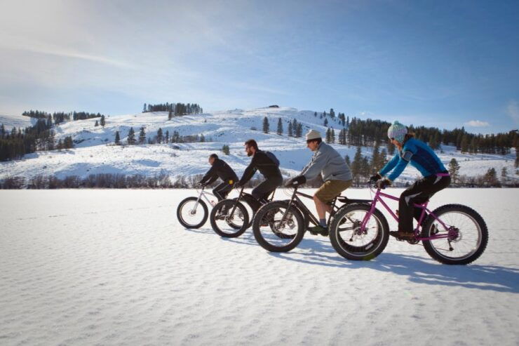 Montréal: Electric Fat Tire Bike Ride on Mount Royal - Experience Highlights