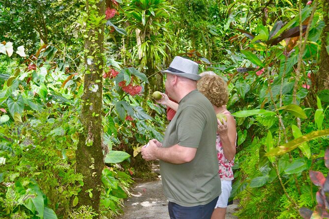 Montreal Garden , Belmont Look Out and Rawacou Recreation Park From IV TOURS - Booking Information