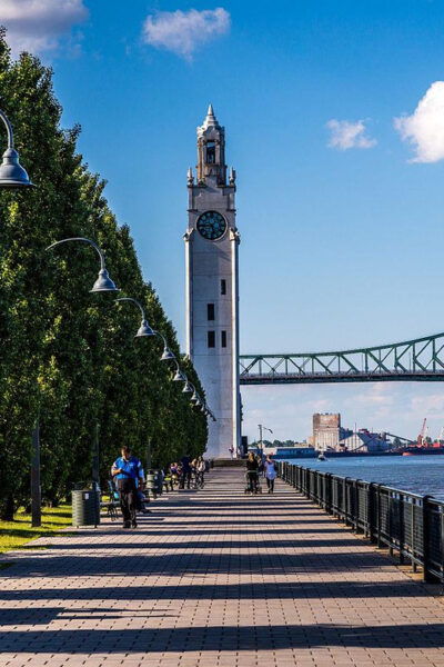 Montreal: Half-day Guided City Tour - Multilingual Guides