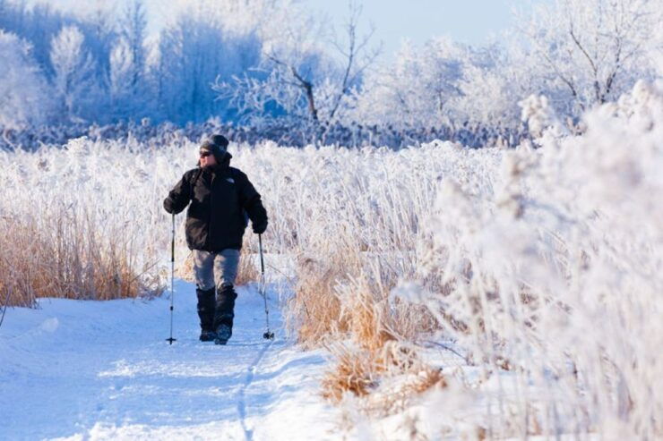 Montreal: Îles-de-Boucherville Entry Ticket and Snowshoeing - Booking Details and Flexibility