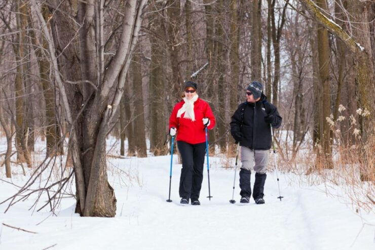 Montreal: Îles-de-Boucherville Entry Ticket and Snowshoeing - Experience and Activities
