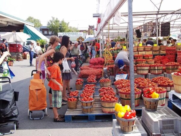 Montreal: Jean-Talon Market & Little Italy Highlights Tour - Booking Information