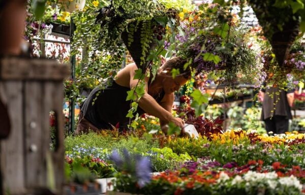 Montreal: Jean-Talon Market & Little Italy Highlights Tour - Important Notes