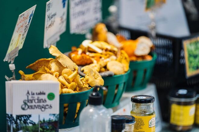 Montreal: Jean-Talon Market Non Touristy Walking Food Tour - Customer Reviews and Ratings