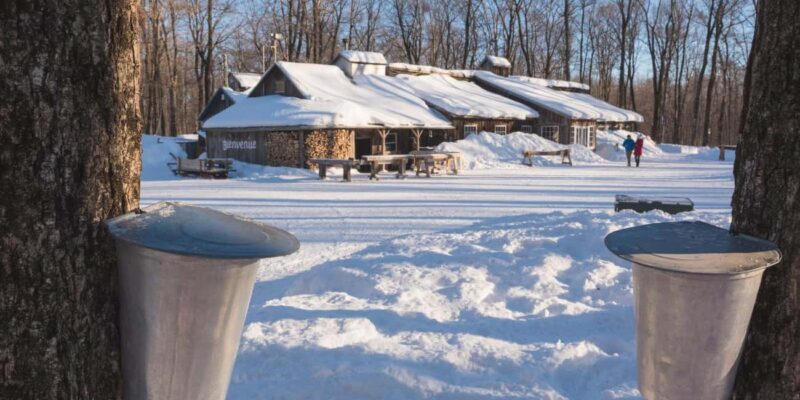 Montreal: Maple Syrup Tour with Sugar Shack & Local Cuisine - An In-Depth Look at the Maple Syrup Tour