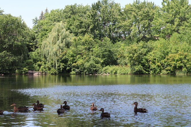 Montreal Mindfulness Walking Tour Experience - Exploring the Douglas Mental Health Institute