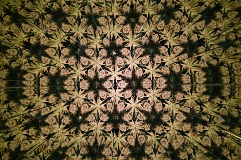 Montreal: Museum of Illusions Entry Ticket - Who Should Visit?