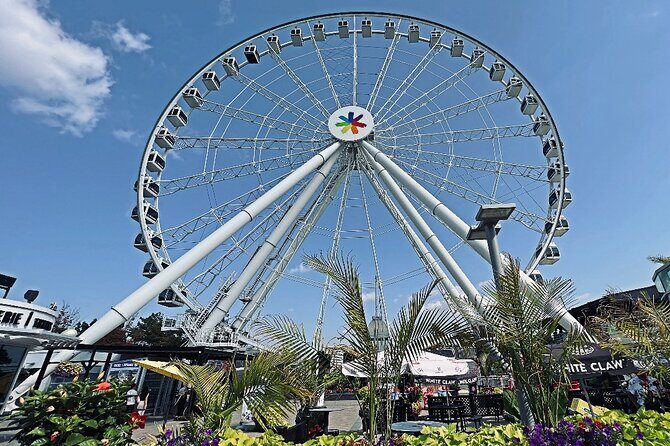 Montreal Private Walking Tour to Downtown RESO and Old Montreal - Practical Aspects