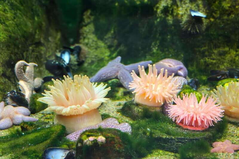 Montreal: Skip-the-line Biodome Private Tour with Tickets - Good To Know