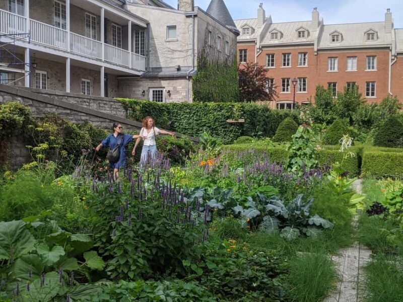 Montréal: The Original Old Montréal Walking Tour - Pricing and Value: Is It Worth It?