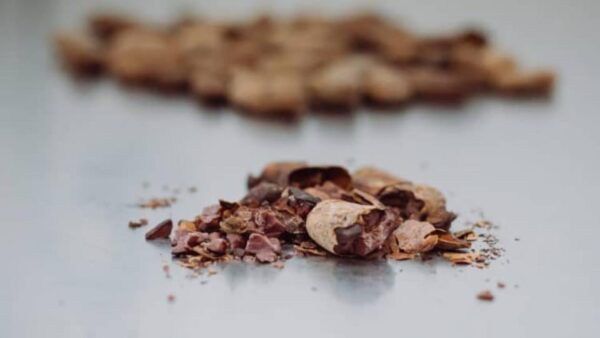 Montreal: Ultimate Chocolate Expedition - Important Details and Booking