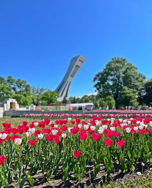 Montreal: Walking Tour 2h Downtown, RESO and Old Montreal - Starting Point: Montreal Museum of Fine Arts