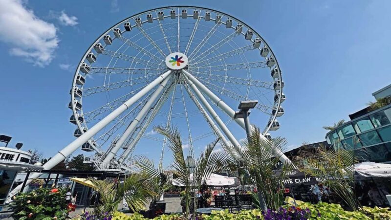 Montreal: Walking Tour 2h Downtown, RESO and Old Montreal - The Sum Up