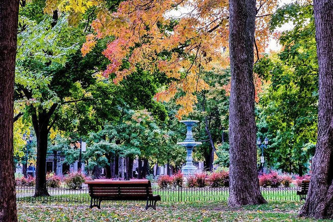 Montreals Plateau Mont-Royal & Mile End Walking Tour - Reviews and Testimonials
