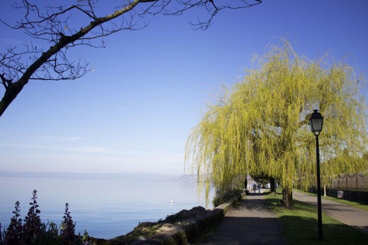 Montreux: Capture the Most Photogenic Spots With a Local - Highlights