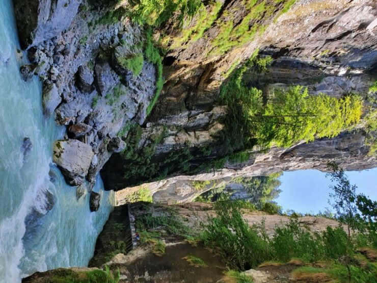 Montreux Private Tour: Waterfalls Valley&Aareschlucht Gorge - Experience Highlights