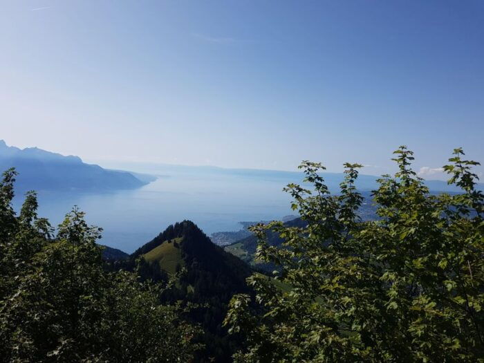 Montreux to Rochers-de-Naye: Alpine Adventure Ticket - Customer Feedback