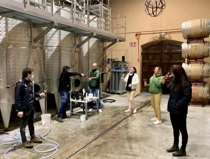 Montrubí Winery Tour, Tasting Menu With Wine Paring - Wine Tasting Experience