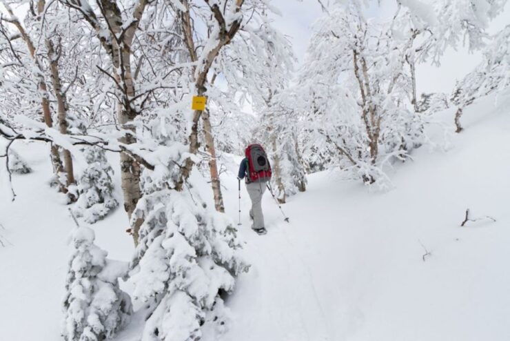Monts-Valin National Park: Snowshoe Rental & Entry Ticket - Activity Details