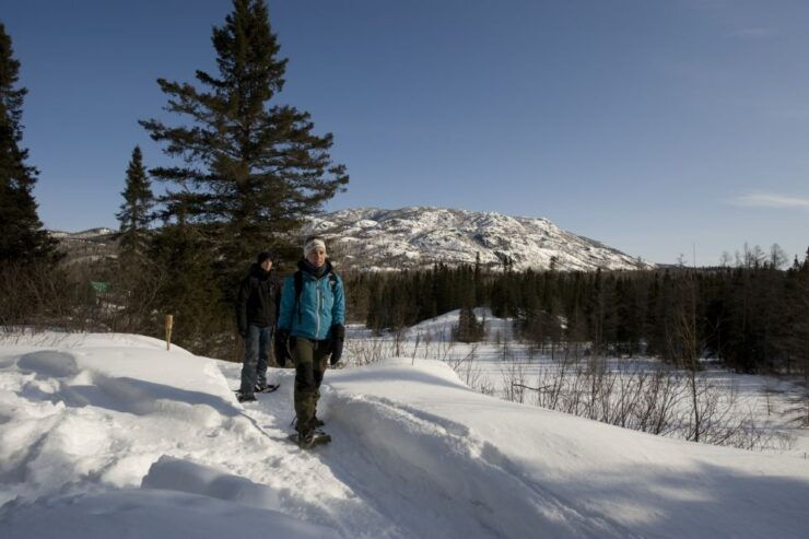 Monts-Valin National Park: Snowshoe Rental & Entry Ticket - Experience