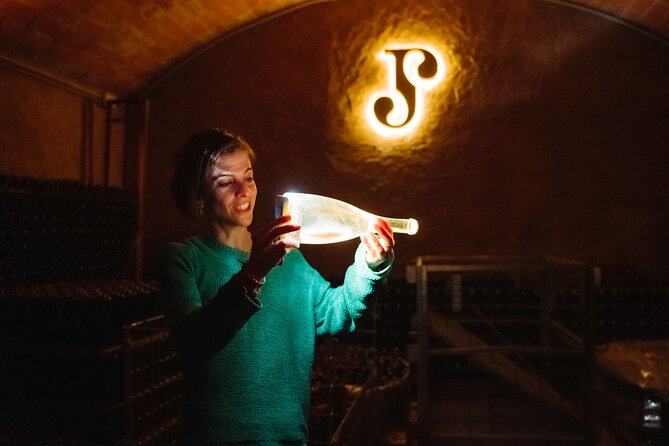 Montserrat and Cava Winery Full-Day Trip From Barcelona - Customer Reviews