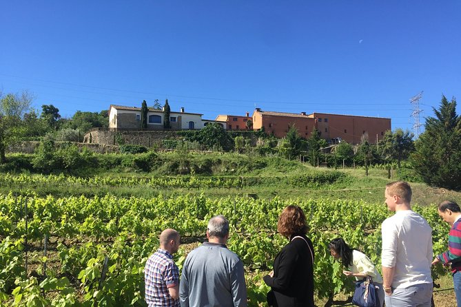 Montserrat & Best Winery Private Tour Experience With a Local Expertise - Reviews