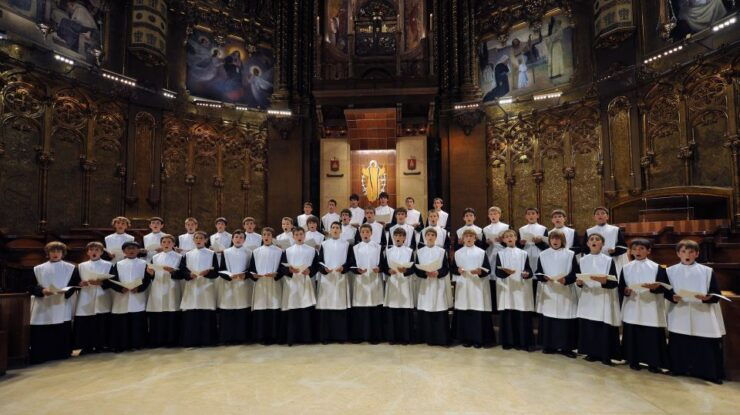 Montserrat & Cava Wineries Day Trip From Barcelona W/ Pickup - Experience Highlights