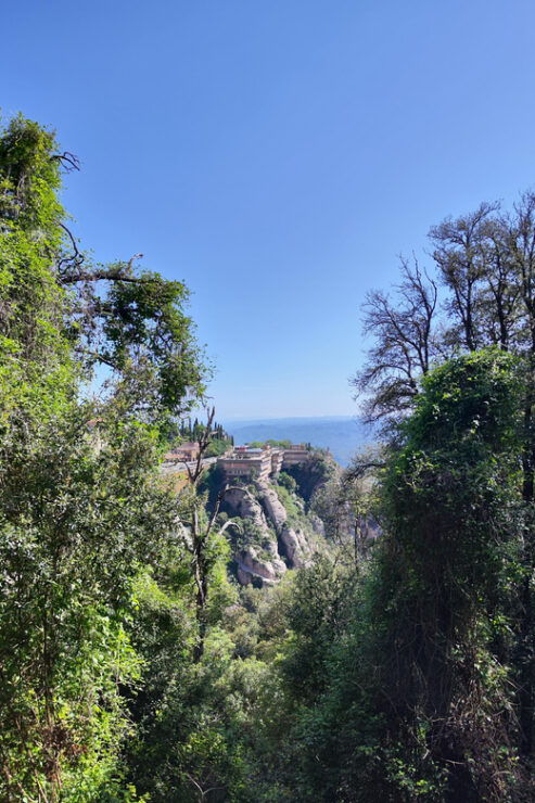 Montserrat Half Day Early Morning Skip-the-Hussle Tour - Good To Know