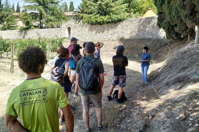 Montserrat Hiking & Monastery + El Penedes Wine and Cava Tour - Cancellation Policy