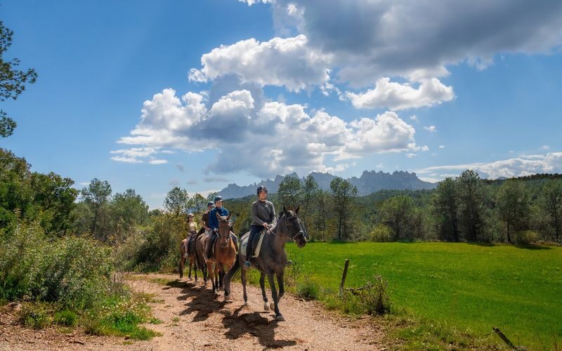 Montserrat Horse Riding Experience - At a glance