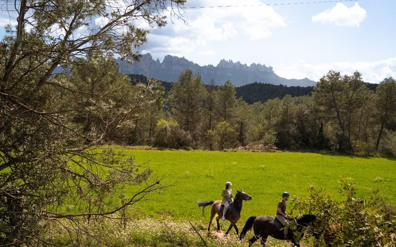 Montserrat Horse Riding Experience - Who will get the most from this outing
