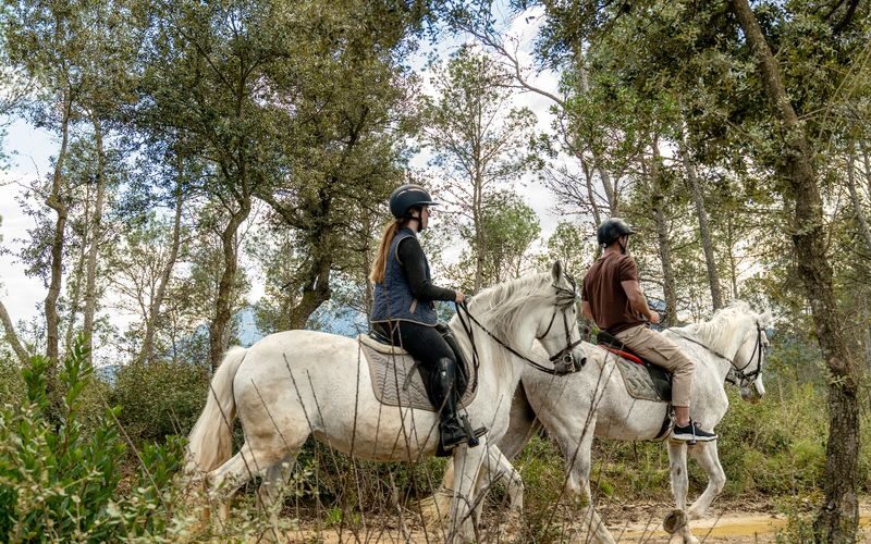 Montserrat Horse Riding Experience - Should you book the Montserrat horse ride?