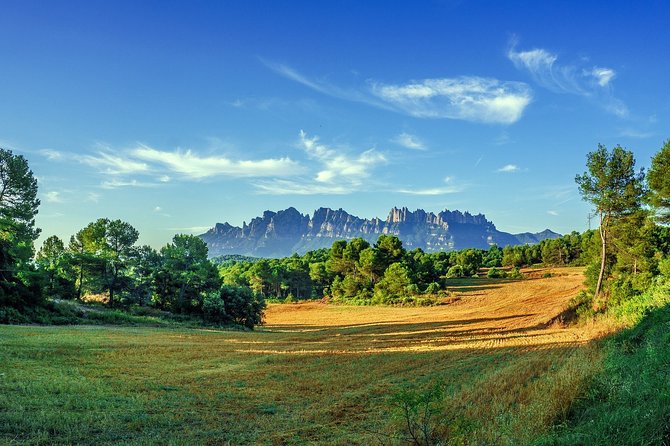 Montserrat & Hot-Air Balloon Ride With Monastery Visit With Hotel Pick-Up - Customer Reviews and Ratings