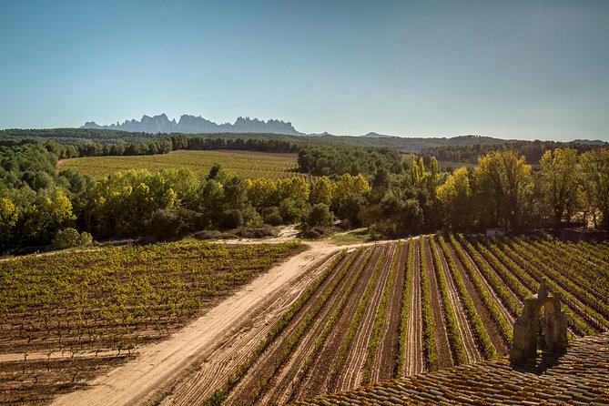Montserrat: Make Your Own Custom Tour! - Meeting Point