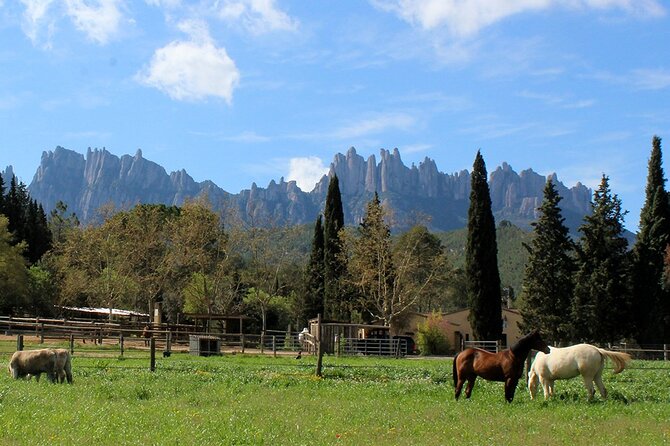 Montserrat Monastery & Horseback Riding - Traveler Photos and Reviews