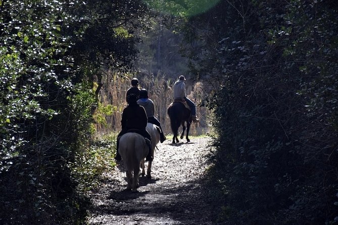 Montserrat Monastery & Horseback Riding - Common Questions