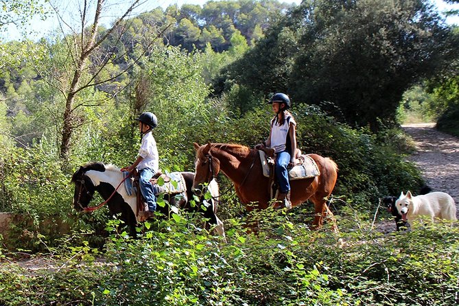 Montserrat Monastery & Horseback Riding - The Sum Up
