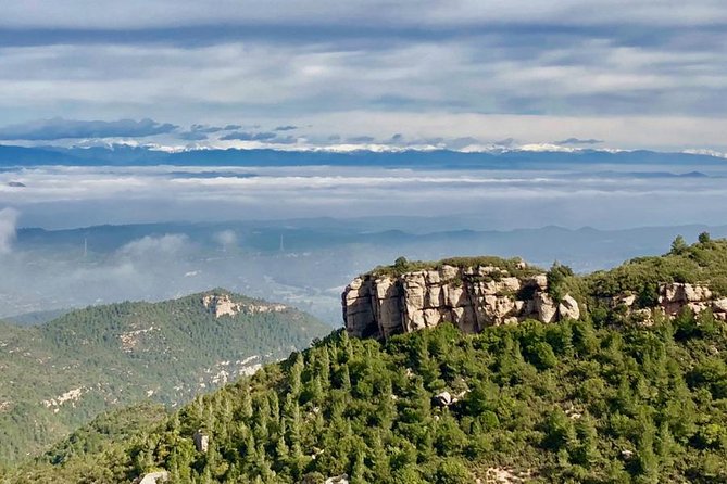 Montserrat Monastery Y Montaña - Tour Privado - Inclusions