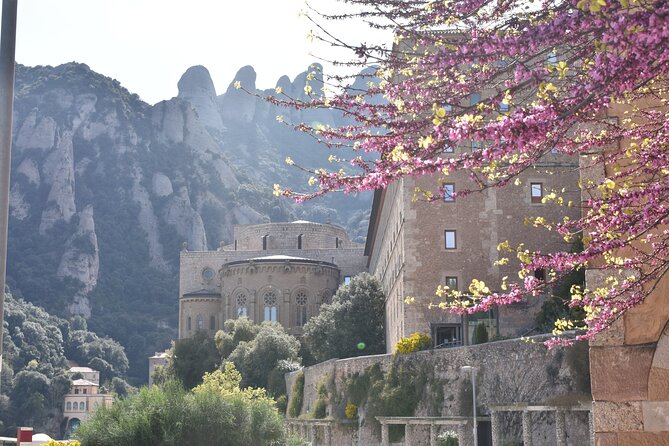 Montserrat Mountain Hiking Tour to Sant Jeroni, Small Group - Traveler Photos and Reviews