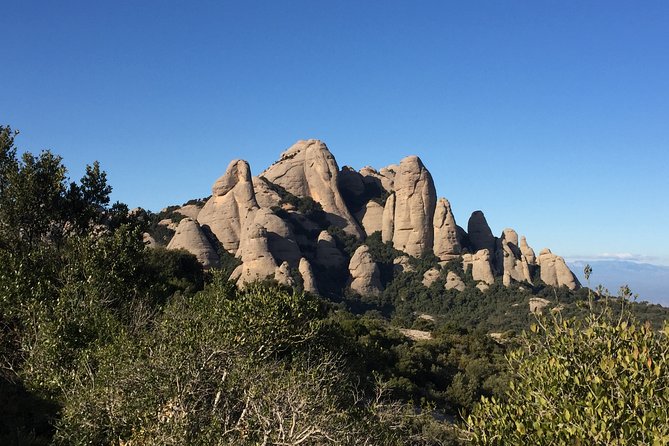 Montserrat Roundtrip Transfer With a Farmers Lunch Option - Taste Fresh, Organic Produce