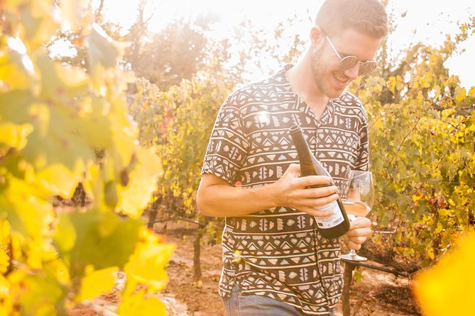 Montserrat Tour With Lunch and Gourmet Wine Tasting - Cellar Tour and Wine Tasting