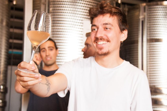 Montserrat Tour With Lunch and Gourmet Wine Tasting - Common Questions