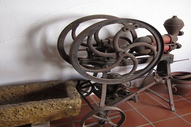 Montserrat + Wine Celler Penedés Tour - Price and Booking