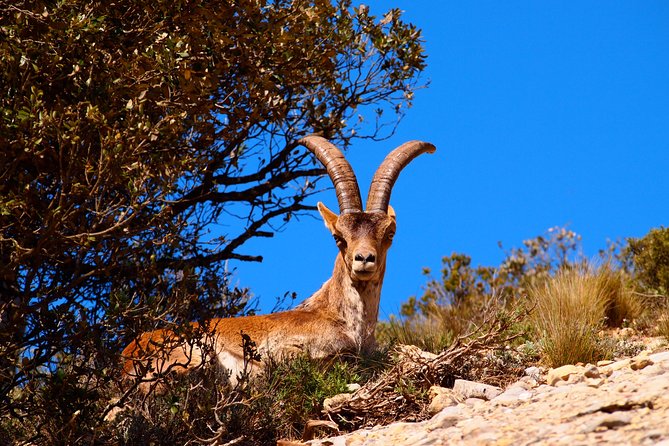Montserrat Y Sitges Tour Desde Barcelona Monasterio Y Paseo Fácil - Directions