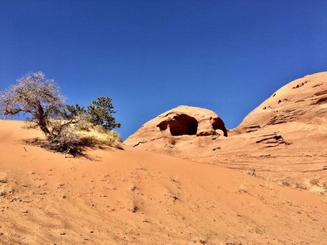 Monument Valley and Mystery Valley Full-Day Tour - Customer Reviews