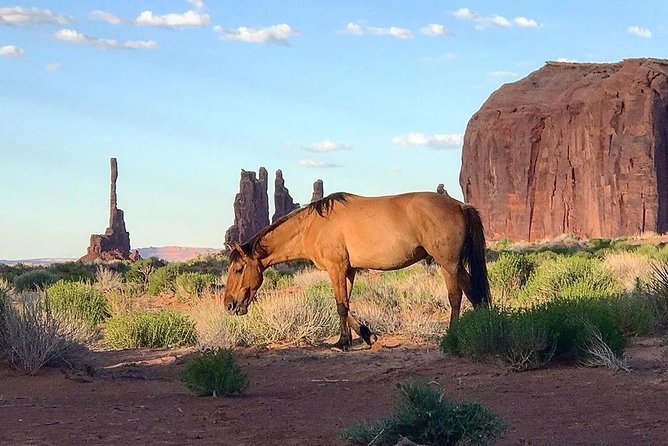 Monument Valley Daytime Tour - 3 Hours - Navajo Spirit Tours - Viator Help Center