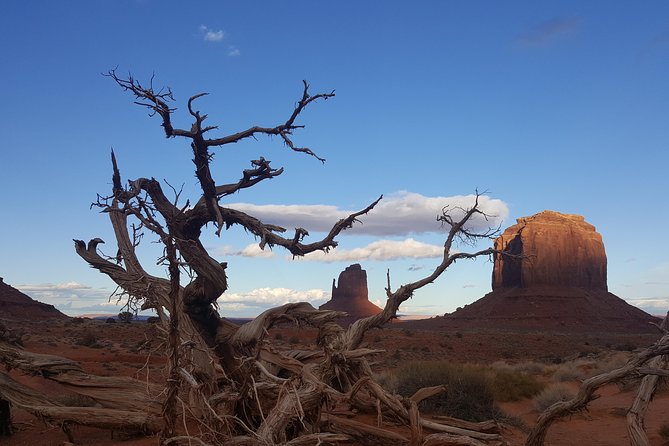 Monument Valley Half-Day Tour - Overview